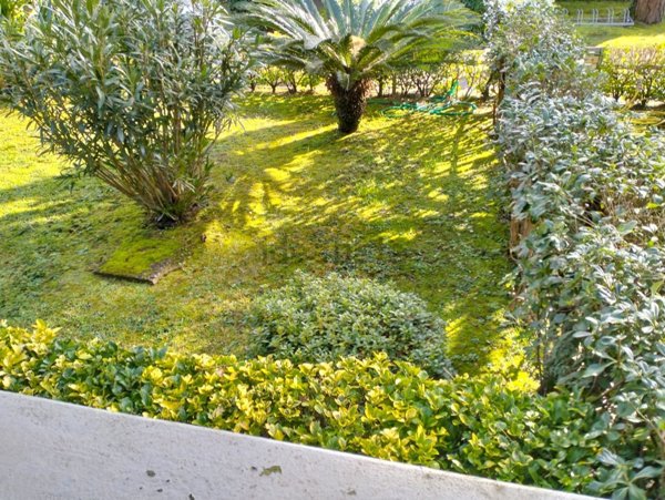 appartamento in vendita a Massa in zona Marina dei Ronchi