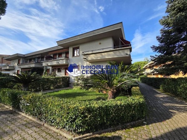 appartamento in vendita a Massa in zona Marina dei Ronchi