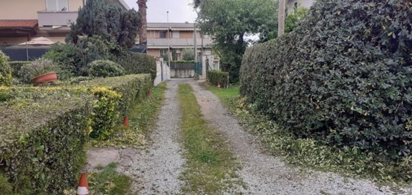terreno agricolo in vendita a Massa