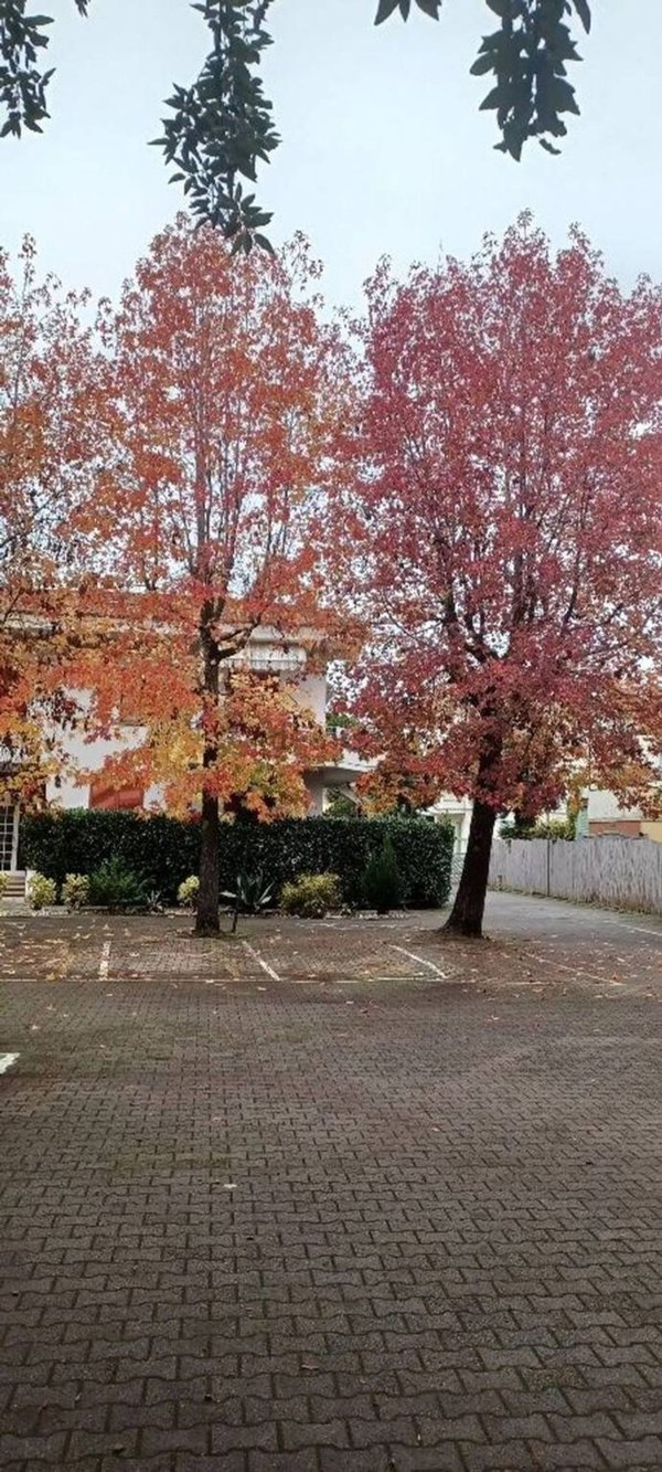 appartamento in vendita a Massa in zona Marina dei Ronchi