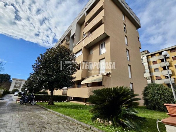 appartamento in vendita a Massa in zona Quercioli