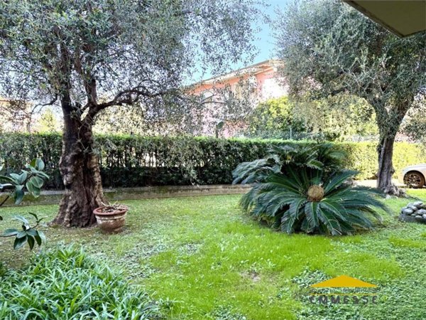appartamento in vendita a Massa in zona Centro Storico