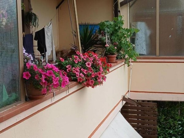appartamento in vendita a Massa