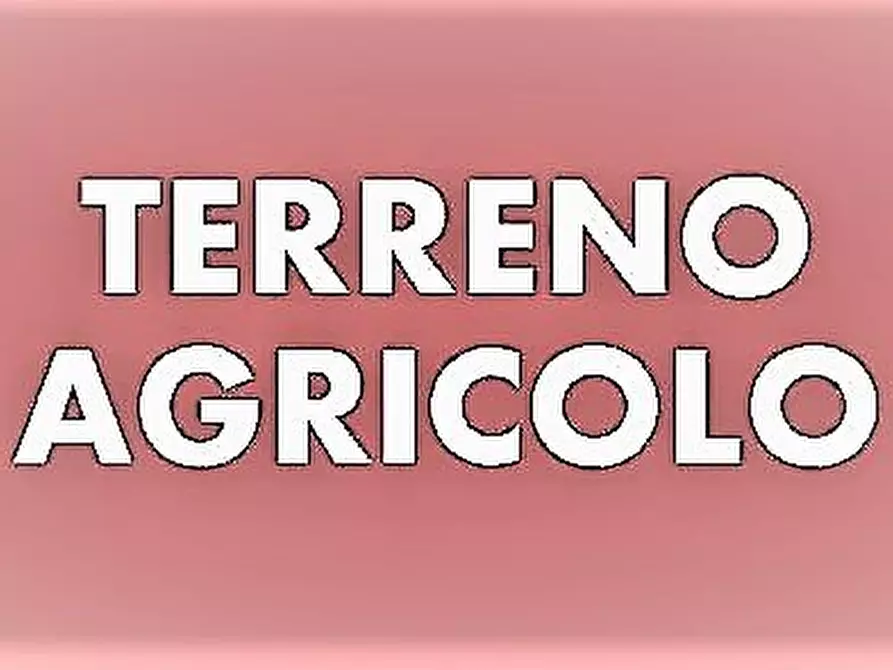 terreno agricolo in vendita a Massa in zona Marina dei Ronchi