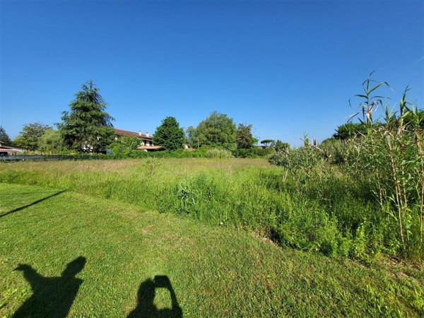 terreno agricolo in vendita a Massa in zona Marina dei Ronchi