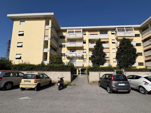 appartamento in vendita a Massa in zona Mirteto