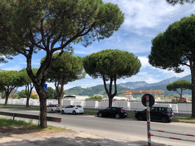 negozio in vendita a Massa in zona Centro Storico