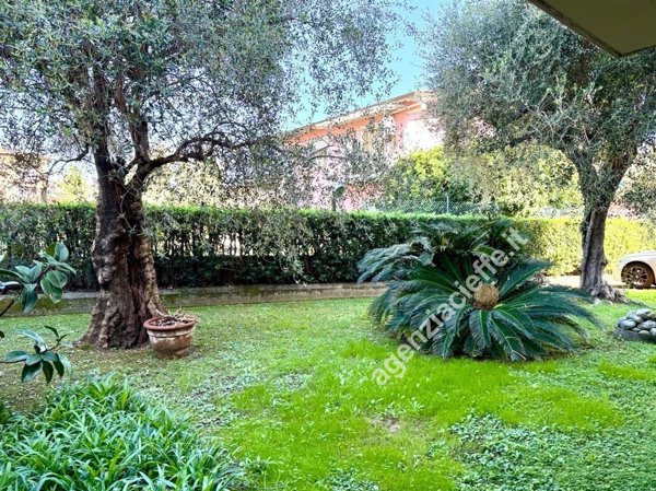 appartamento in vendita a Massa in zona Centro Storico