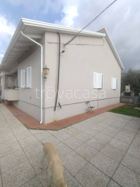 casa indipendente in vendita a Massa in zona Castagnola