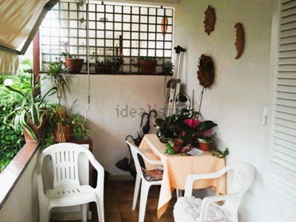 casa indipendente in vendita a Massa in zona Marina di Massa