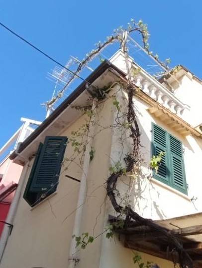 appartamento in vendita a Massa in zona Quercioli