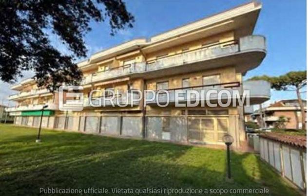negozio in vendita a Massa