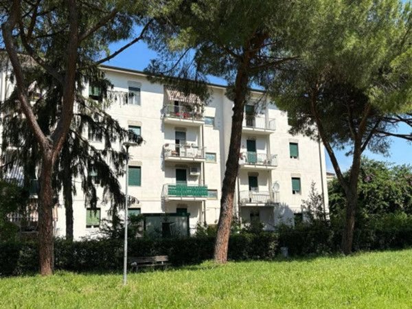 appartamento in vendita a Massa in zona Quercioli