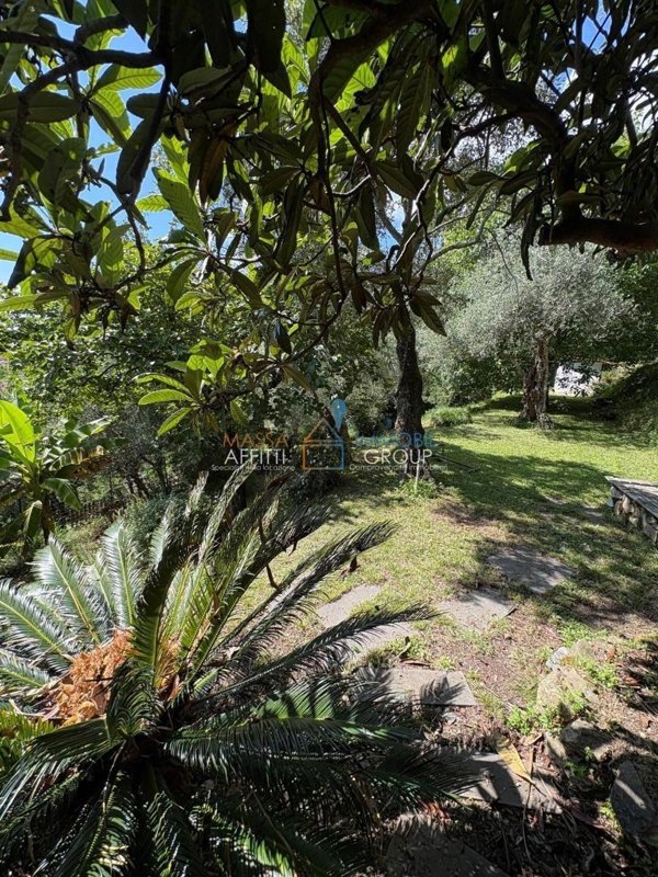 casa semindipendente in vendita a Massa