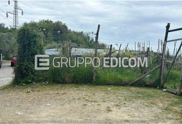 terreno agricolo in vendita a Massa