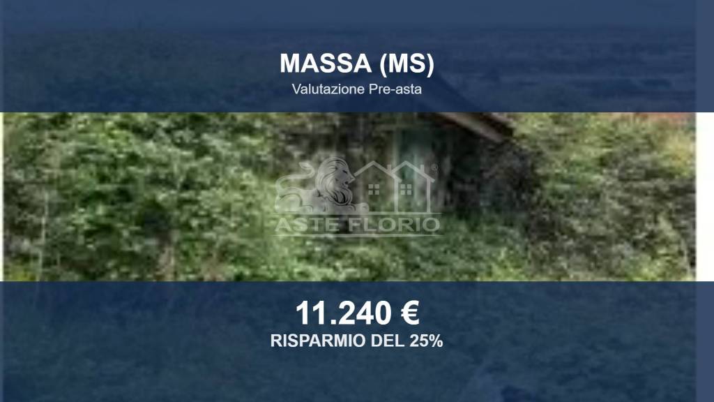terreno agricolo in vendita a Massa in zona Romagnano