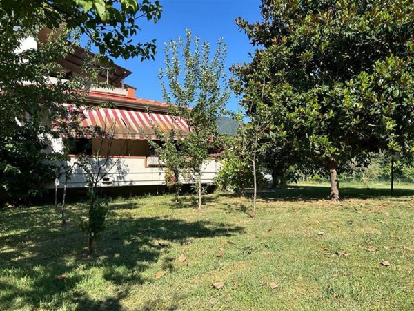 casa indipendente in vendita a Massa in zona Quercioli