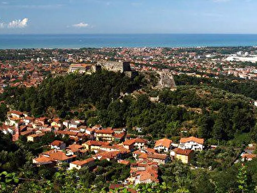 negozio in vendita a Massa