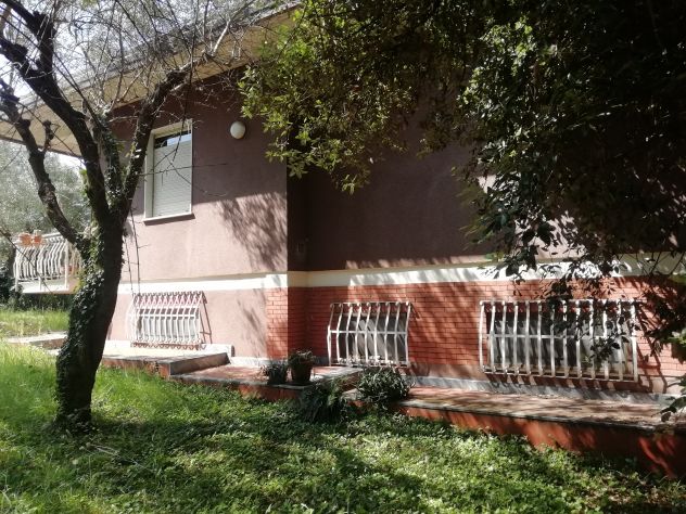 casa indipendente in vendita a Massa in zona Centro Storico