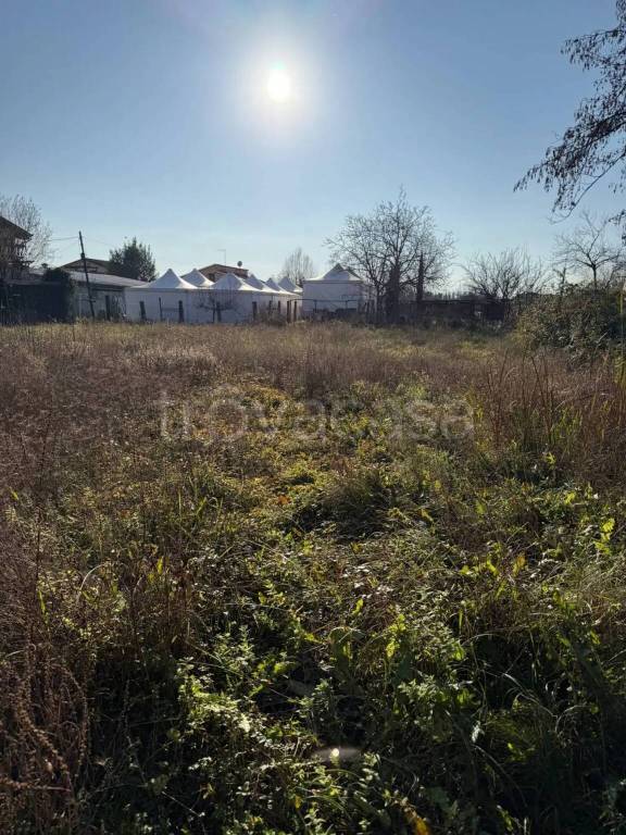terreno agricolo in vendita a Massa