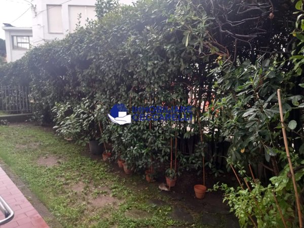 appartamento in vendita a Massa in zona Centro Storico