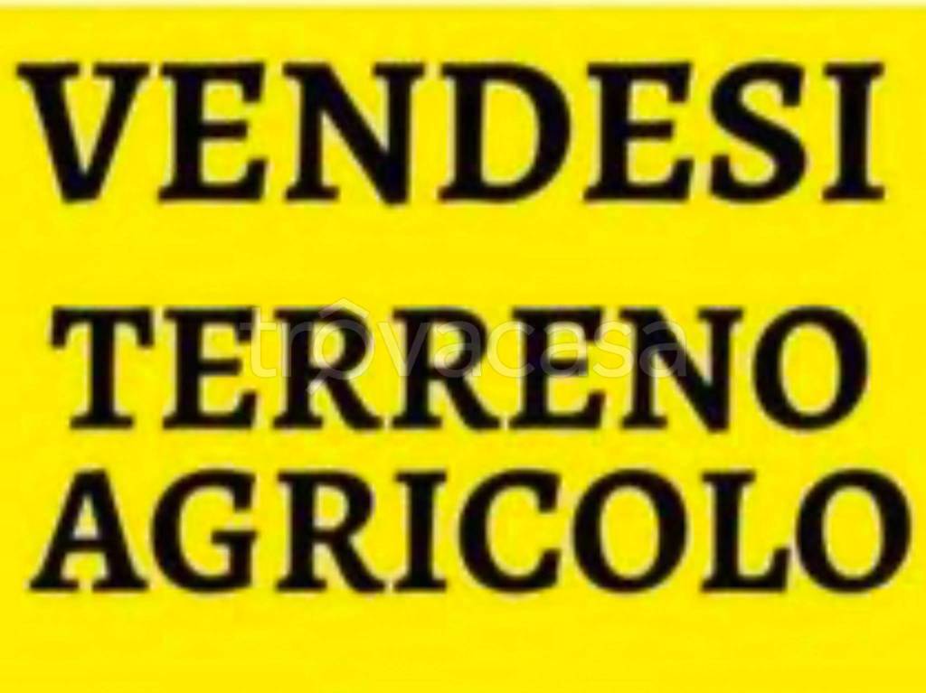 terreno agricolo in vendita a Massa in zona Marina di Massa