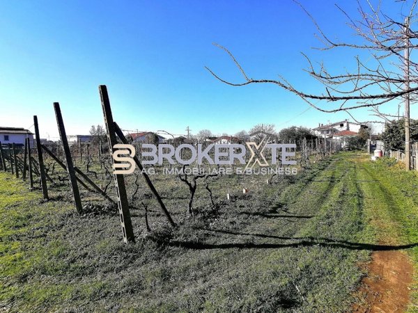 terreno agricolo in vendita a Massa in zona Candia