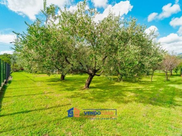 terreno agricolo in vendita a Massa in zona Quercioli