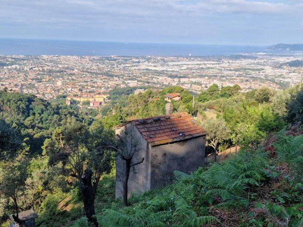 casa indipendente in vendita a Massa in zona Tombara