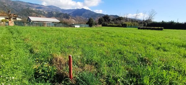 terreno agricolo in vendita a Massa