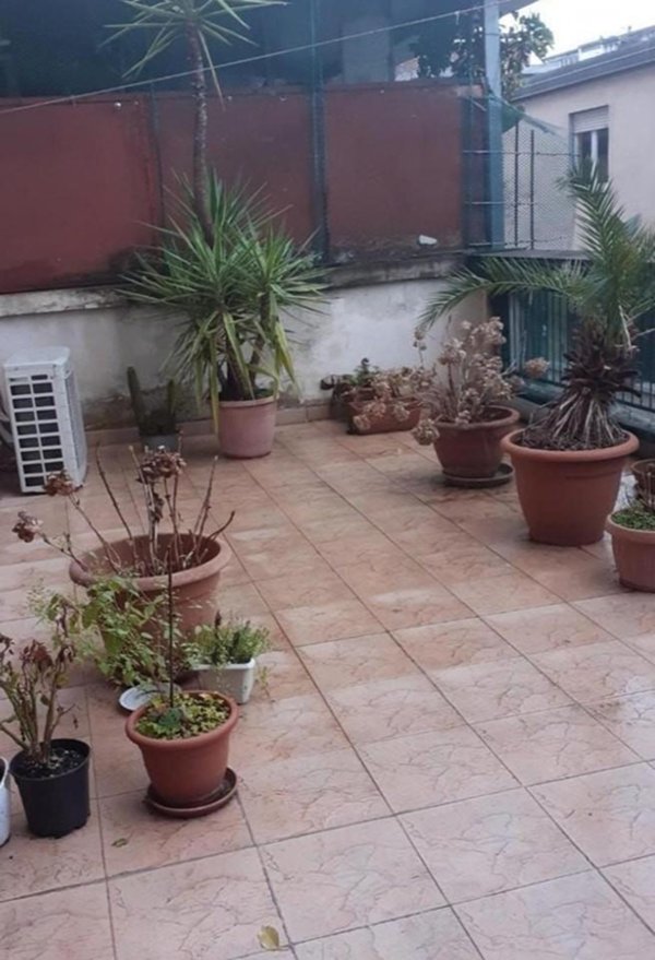 appartamento in vendita a Massa in zona Centro Storico