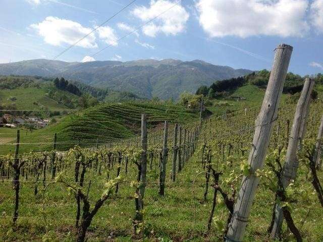 capannone in vendita a Massa in zona Mirteto