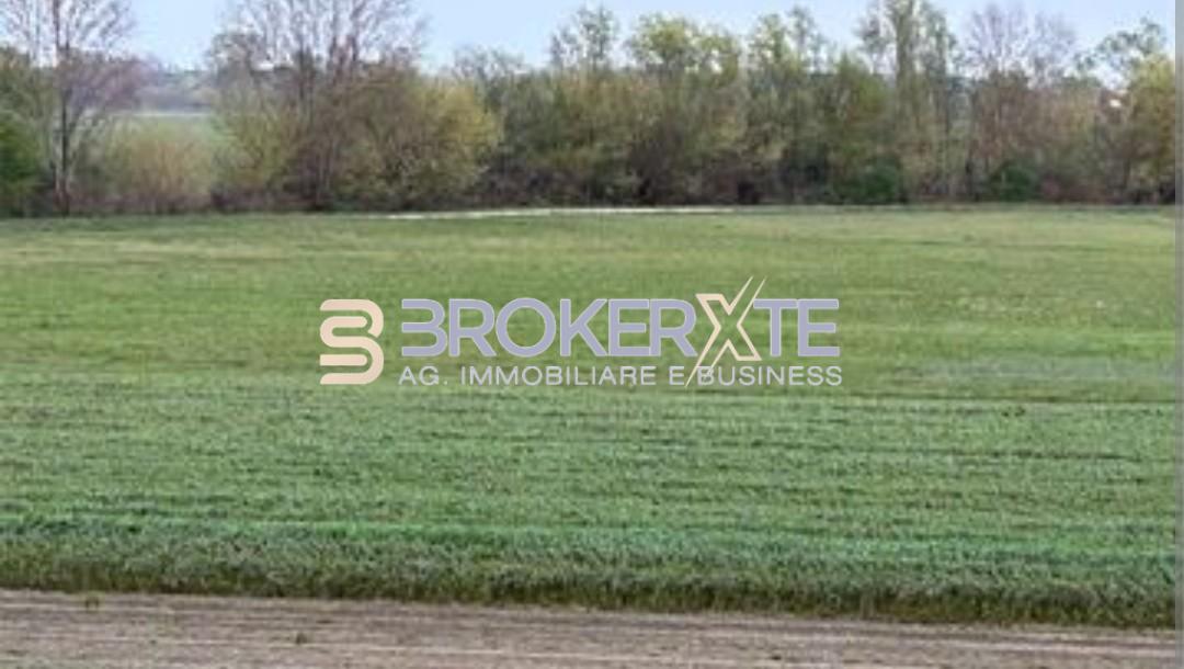 terreno agricolo in vendita a Massa in zona Centro Storico