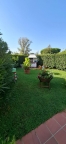 immagine annuncio 0 di 8