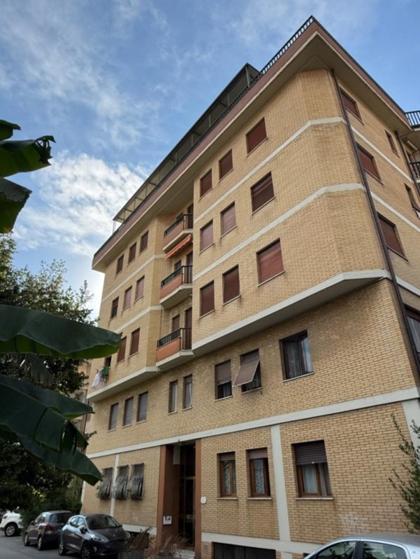 appartamento in vendita a Massa in zona Centro Storico
