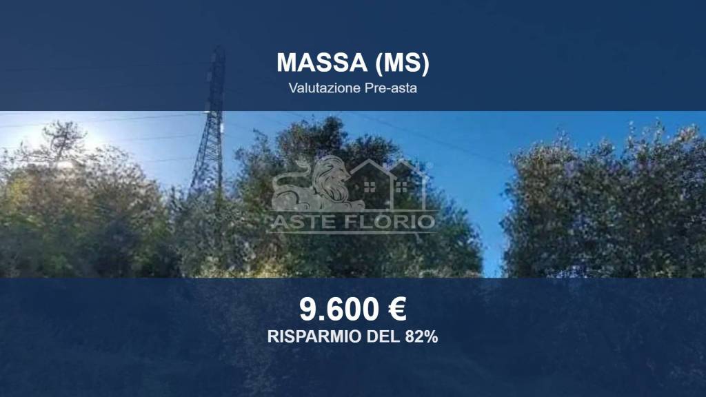 terreno agricolo in vendita a Massa