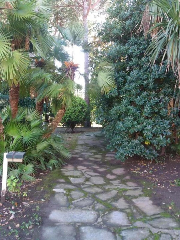 appartamento in vendita a Massa in zona Marina di Massa