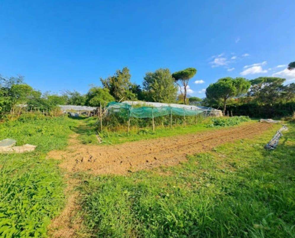 terreno agricolo in vendita a Massa in zona Poveromo