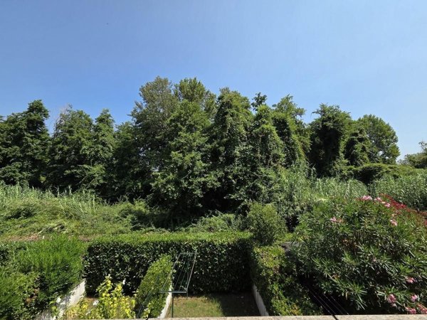 appartamento in vendita a Massa in zona Marina dei Ronchi