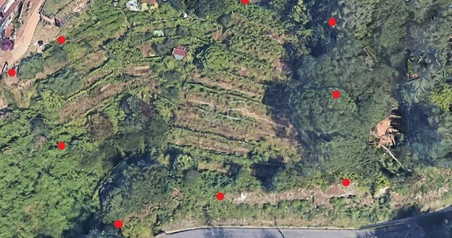 terreno agricolo in vendita a Montignoso in zona Palatina