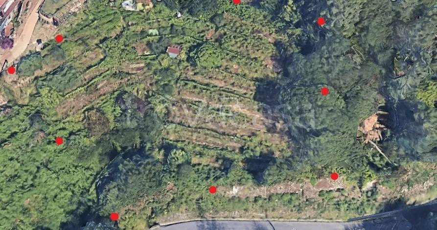 terreno agricolo in vendita a Montignoso in zona Palatina