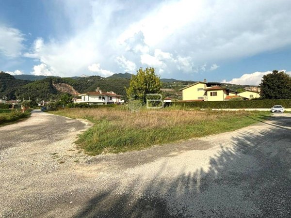 terreno agricolo in vendita a Montignoso in zona Renella