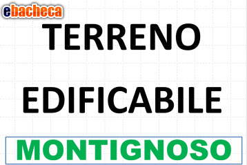 casa indipendente in vendita a Montignoso