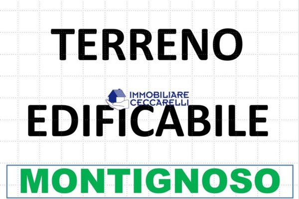 terreno agricolo in vendita a Montignoso