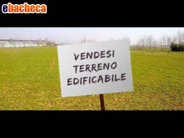 casa indipendente in vendita a Montignoso in zona Renella