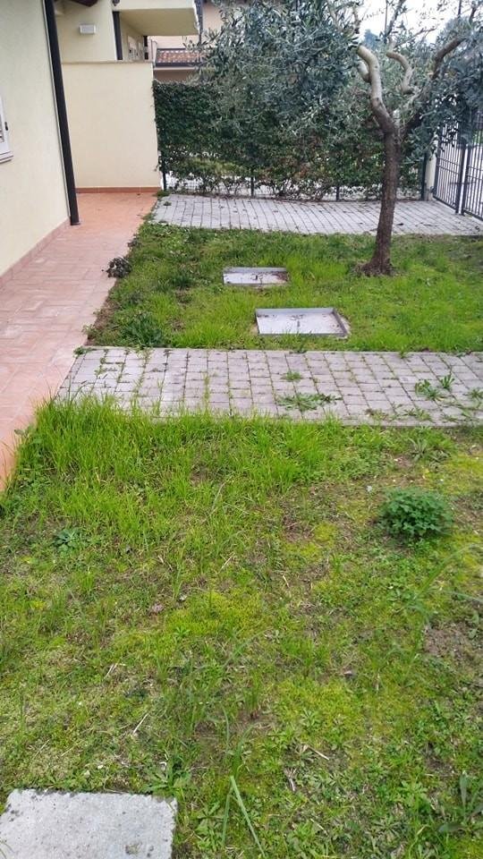 casa indipendente in vendita a Montignoso in zona Renella