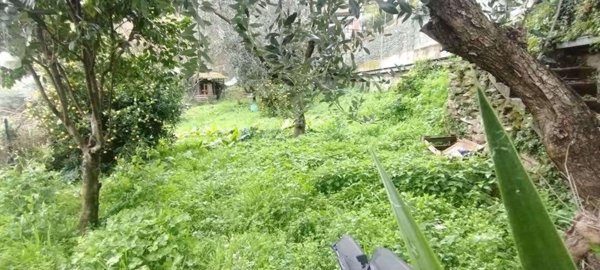 intera palazzina in vendita a Montignoso