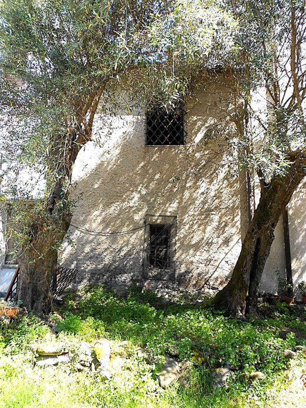 intera palazzina in vendita a Montignoso