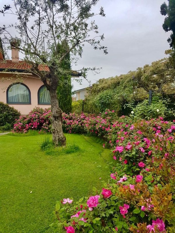 casa indipendente in vendita a Montignoso