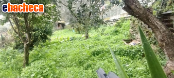 appartamento in vendita a Montignoso in zona Capanne